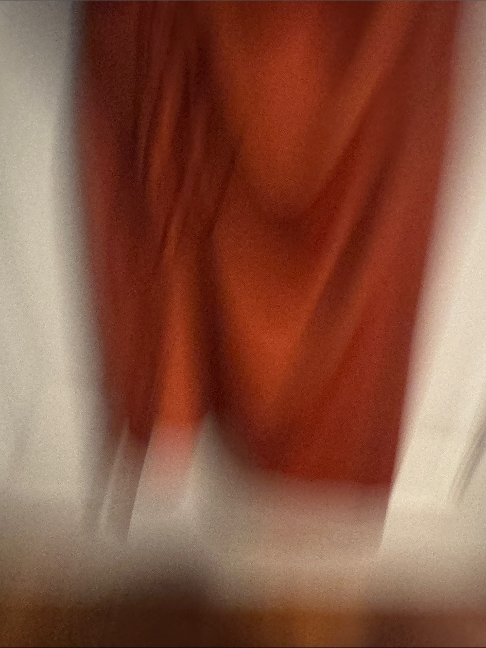 Almost Famous Rust Ruched Slip Dress - Picture 4 of 6